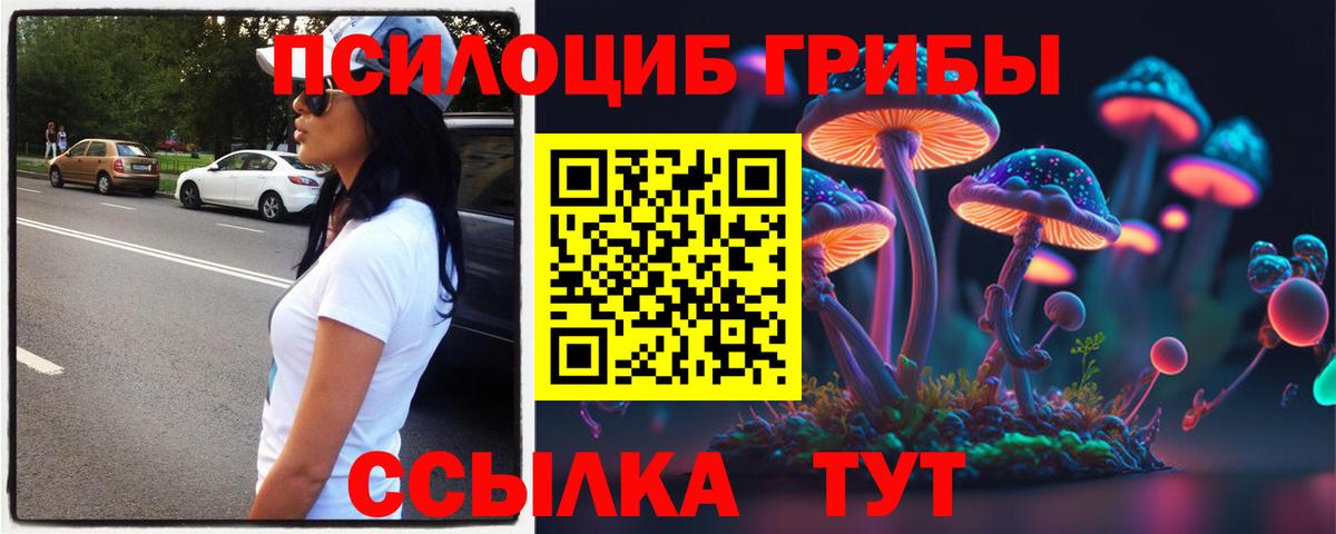 Галлюциногенные грибы Psilocybine cubensis Нурлат