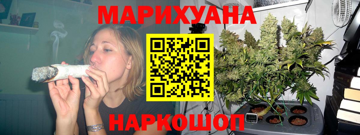 Конопля Ganja  Канабис THC 21%  Нурлат  Марихуана план  Вход с VPN 